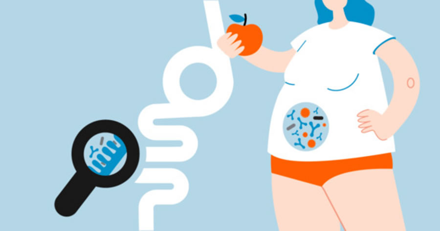 La microbiota intestinal tiene una conexión con el sobrepeso y el riesgo de diabetes